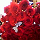 ���� ������, ���������, 67 ��� - ��������� 25 ��� 2015 � ������ ������� �������