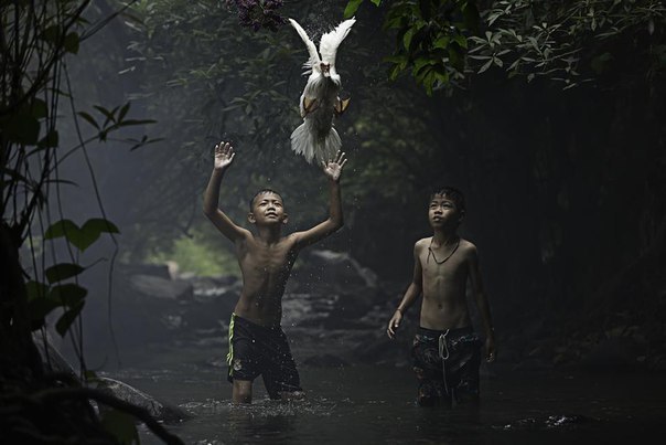    National Geographic      ... - 5