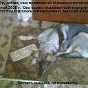 ���� �����, �������������, 80 ��� - ��������� 20 ������� 2015 � ������ ���� ��������