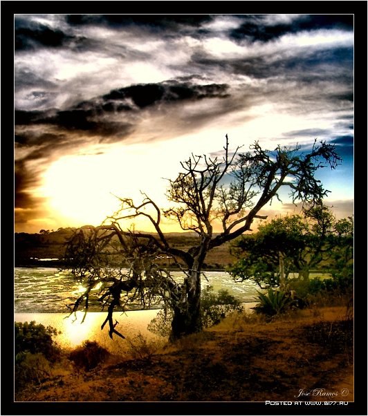 Jose Ramos - 12