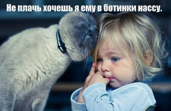       - 7  2015  08:31