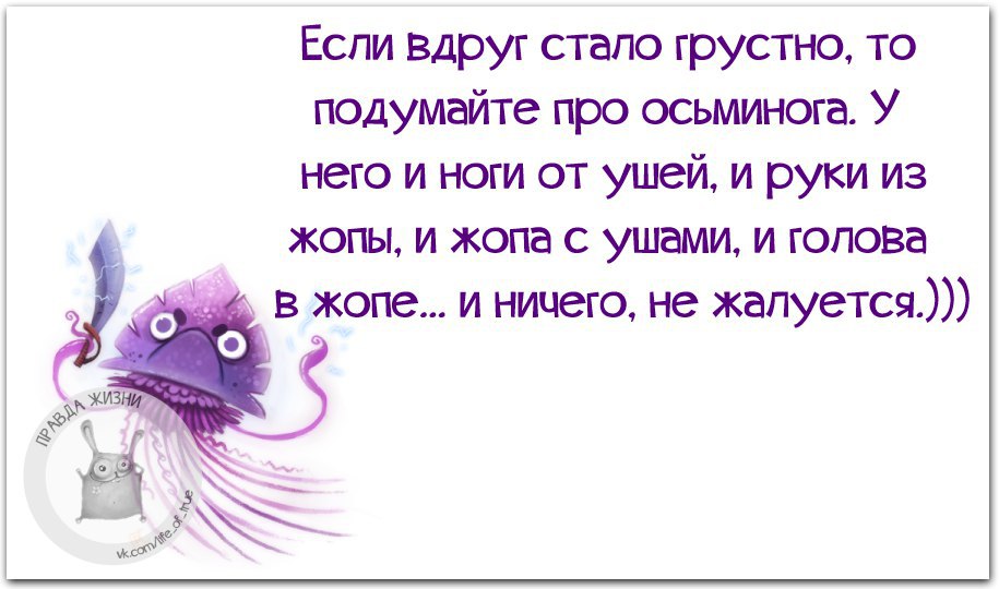Если вдруг меня не станет слушать. Если грустно вспомни осьминога. Если тебе грустно подумай про осьминога. Прикольные выражения про осьминога. Когда тебе грустно вспомни про осьминога.