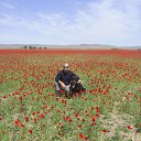 ���� ����, ������, 49 ��� - ��������� 12 ��� 2015