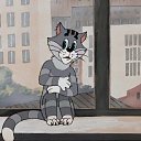 ���� ����, �����������, 54 ���� - ��������� 15 �������� 2015 � ������ ���� ����������