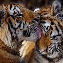 ���� �������, ������-��-���� - ��������� 17 ���� 2015 � ������ ��� ������� �����