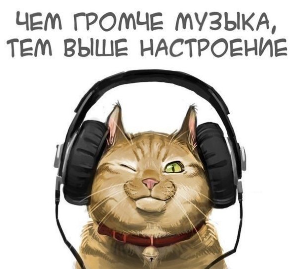 Magic the cookie - 24  2015  15:35