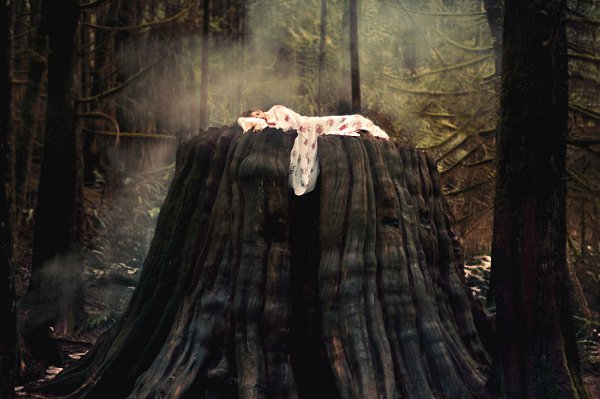 Äûõàíèå ïðèðîäû îò Ýëèçàáåò Ãýää.Ýëèçàáåò Ãýää (Elizabeth Gadd) óìååò î÷åíü ÿðêî ïåðåäàòü âñ¸, ÷òî ... - 2