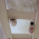 ���� �������, ������, 48 ��� - ��������� 11 �������� 2015 � ������ ������ ��������