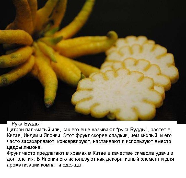 10 ������������ ������� �� ����� �����, � ������� �� �� �������. - 8