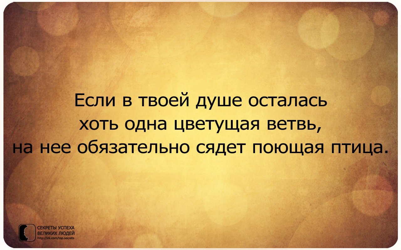   - 13  2015  11:27