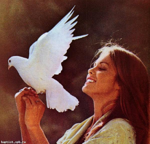 !!!    )))     .       ...