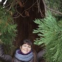 ���� ����, �����, 63 ���� - ��������� 14 ��� 2015 � ������ ���� ����������