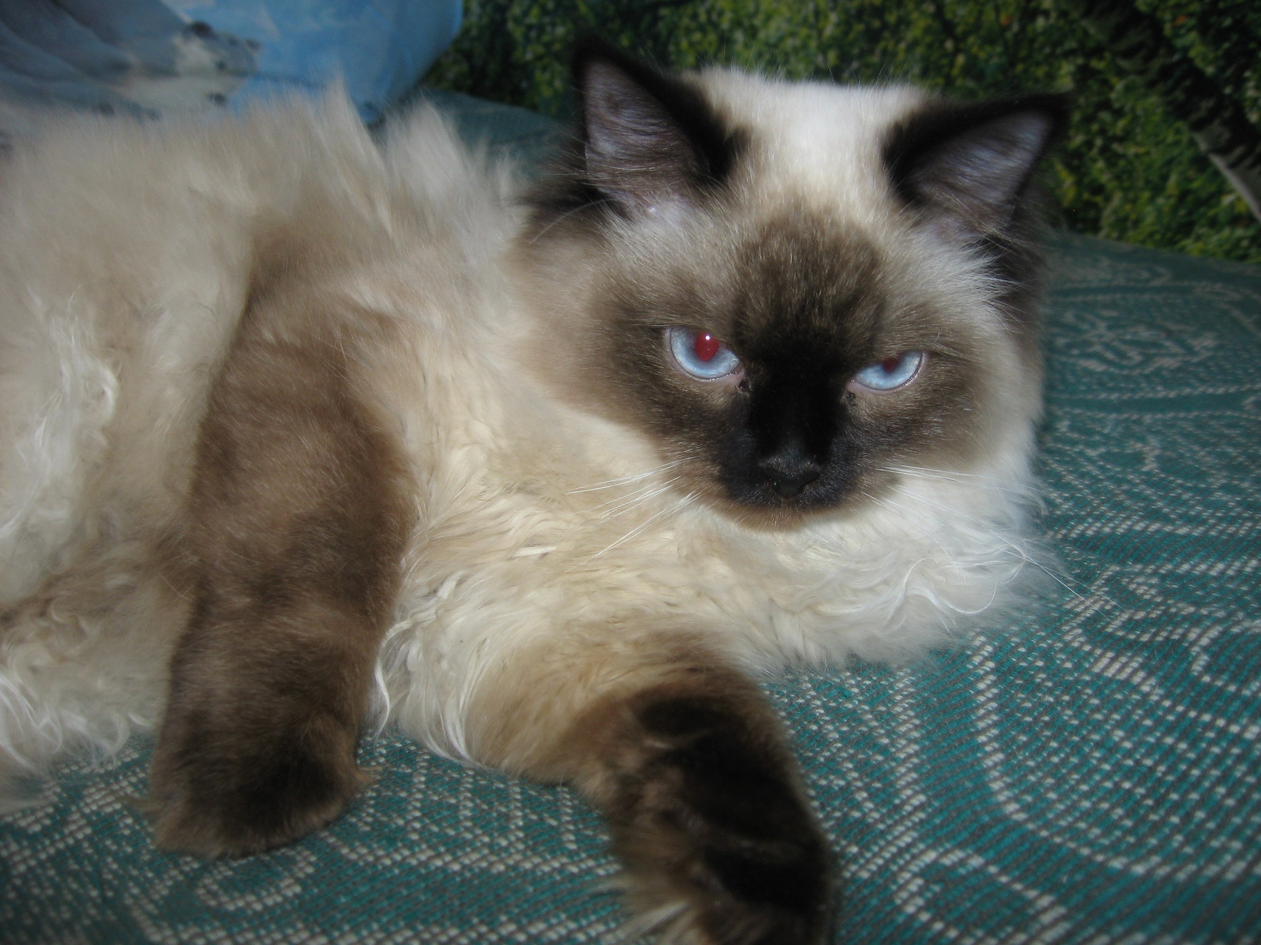  - 17  2015  10:40 - 7