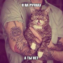 ���� ��������, �������, 43 ���� - ��������� 10 �������� 2015