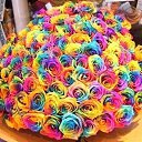 ���� ����, �����, 39 ��� - ��������� 11 ���� 2015 � ������ ������ ��������