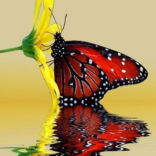 ...����� ��� ������� ������� - 3