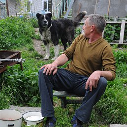 ������, ���������, 64 ����