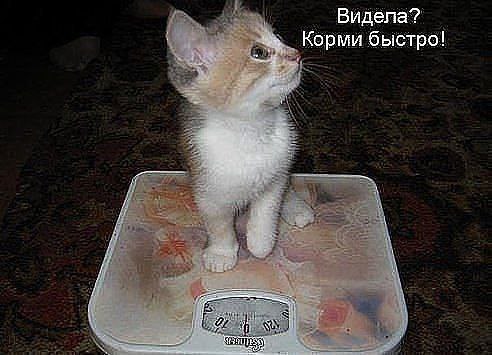  - 11  2015  13:58