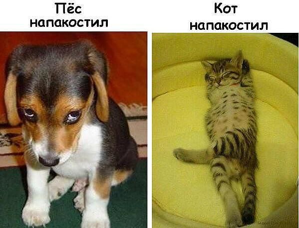   => https://fotostrana.ru/away?to=/sl/X4E2
