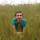  Nokas, , 44  -  3  2015    