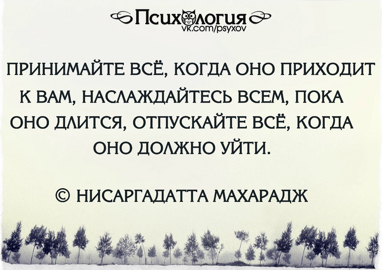  - 6  2015  20:03
