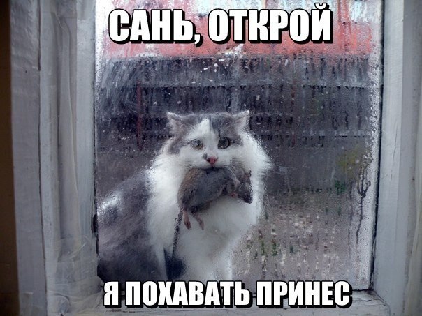 ������������ ���� - 12 ���� 2015 � 17:32