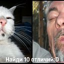 ���� ����, ���, 61 ��� - ��������� 9 ��� 2015 � ������ ���� ����������