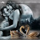 ���� ������, ��������� - ��������� 11 �������� 2015