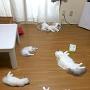  Natalie, , 49  -  26  2015    