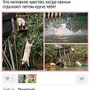���� ����, ����� - ��������� 21 �������� 2015 � ������ ������ ��������