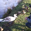 ���� ������, ������, 48 ��� - ��������� 16 ������� 2015 � ������ ���� ����������