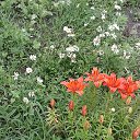 ���� ������, �����, 70 ��� - ��������� 22 ���� 2015 � ������ ���� ����������