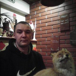 ������, ������, 43 ����