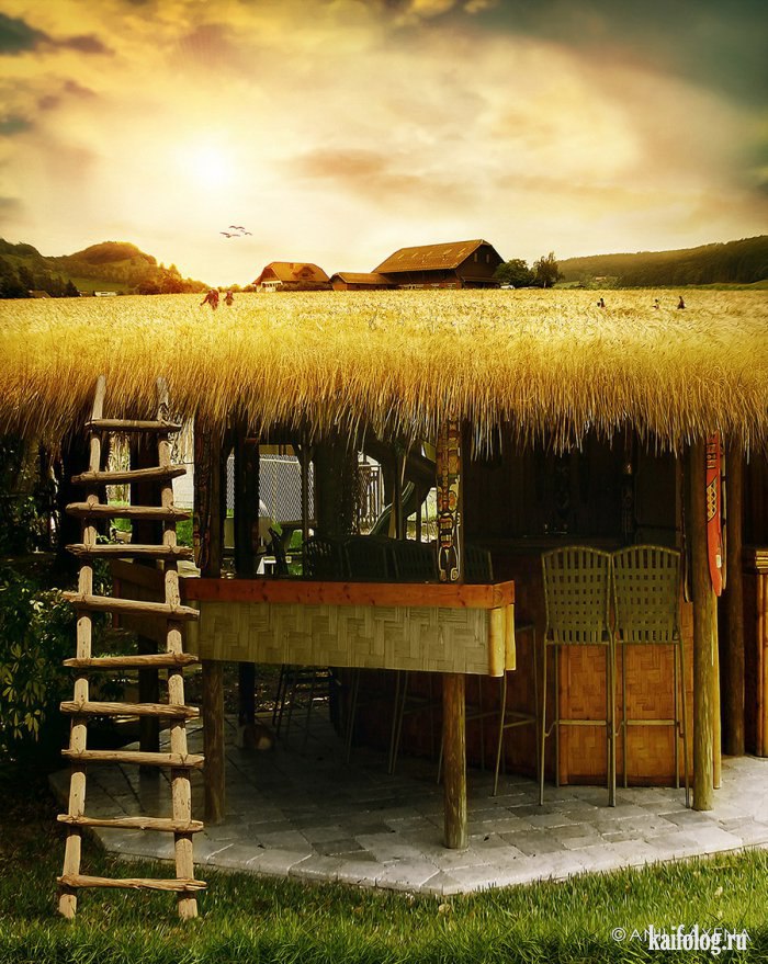   (Anil Saxena) -       ().   ... - 7