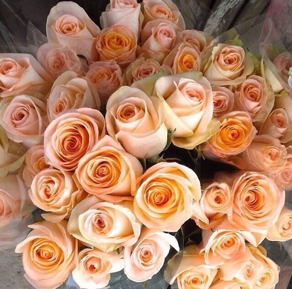 Цветы - это магия, которую мужчинам не понять, ей просто нужно пользоваться - 5