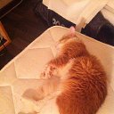 ���� ������, ������-��-����, 36 ��� - ��������� 7 ������� 2015 � ������ ���� ����������