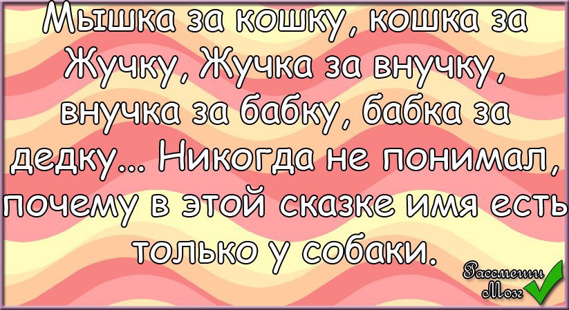  - 6  2015  20:52