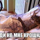 ���� �������, �������������, 60 ��� - ��������� 9 ���� 2015 � ������ ������ ��������