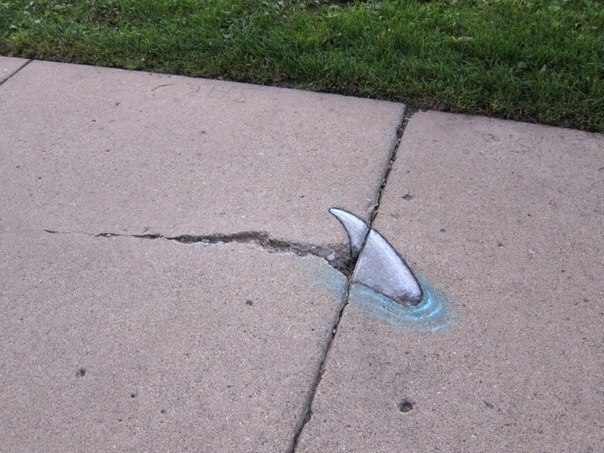    David Zinn - 5