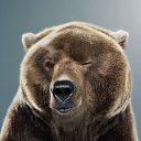 ���� ������, ������, 52 ���� - ��������� 26 ������ 2015 � ������ ���� ����������