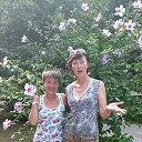 ���� �����, ���� - ��������� 8 ������� 2015 � ������ ������ ��������