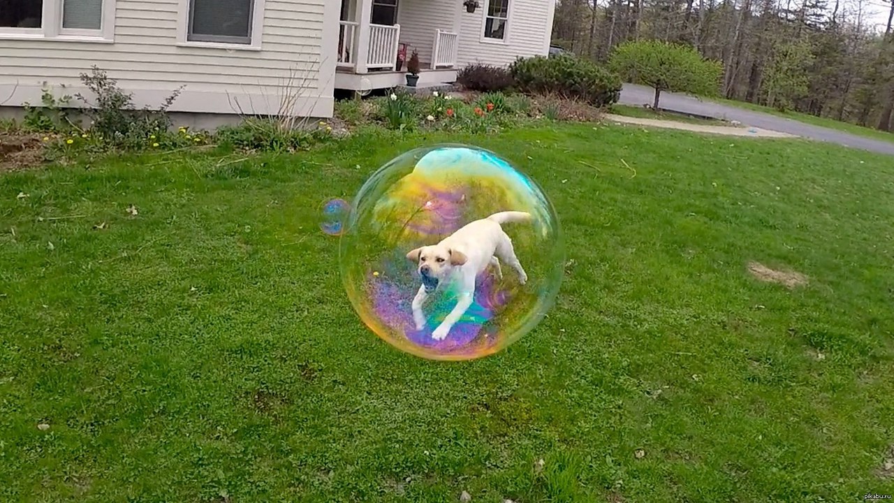   .