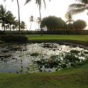 ���� ������, �����������, 56 ��� - ��������� 4 ���� 2015 � ������ �������