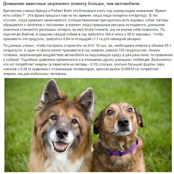 10 реальных вещей, которые доказали британские учёные.Британские учёные однажды установили, что они ... - 3