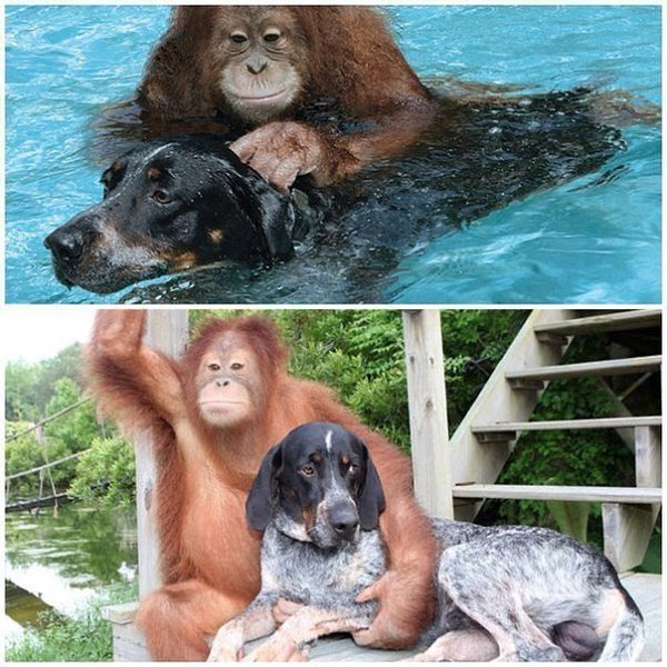 ��� �� ��� � ��������, �� � ��������. ��� ��� �������� ����. - 10