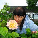���� ��������, �����������, 59 ��� - ��������� 31 ��� 2015 � ������ ���� ����������