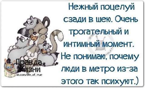   - 14  2015  23:53