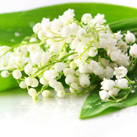 |В| Счастье есть... |В| - 8 мая 2015 в 16:50