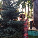 ���� ������, ��������, 53 ���� - ��������� 8 ���� 2015 � ������ ���� ����������