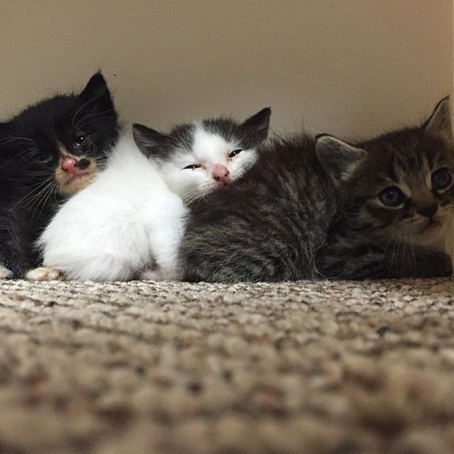 :3